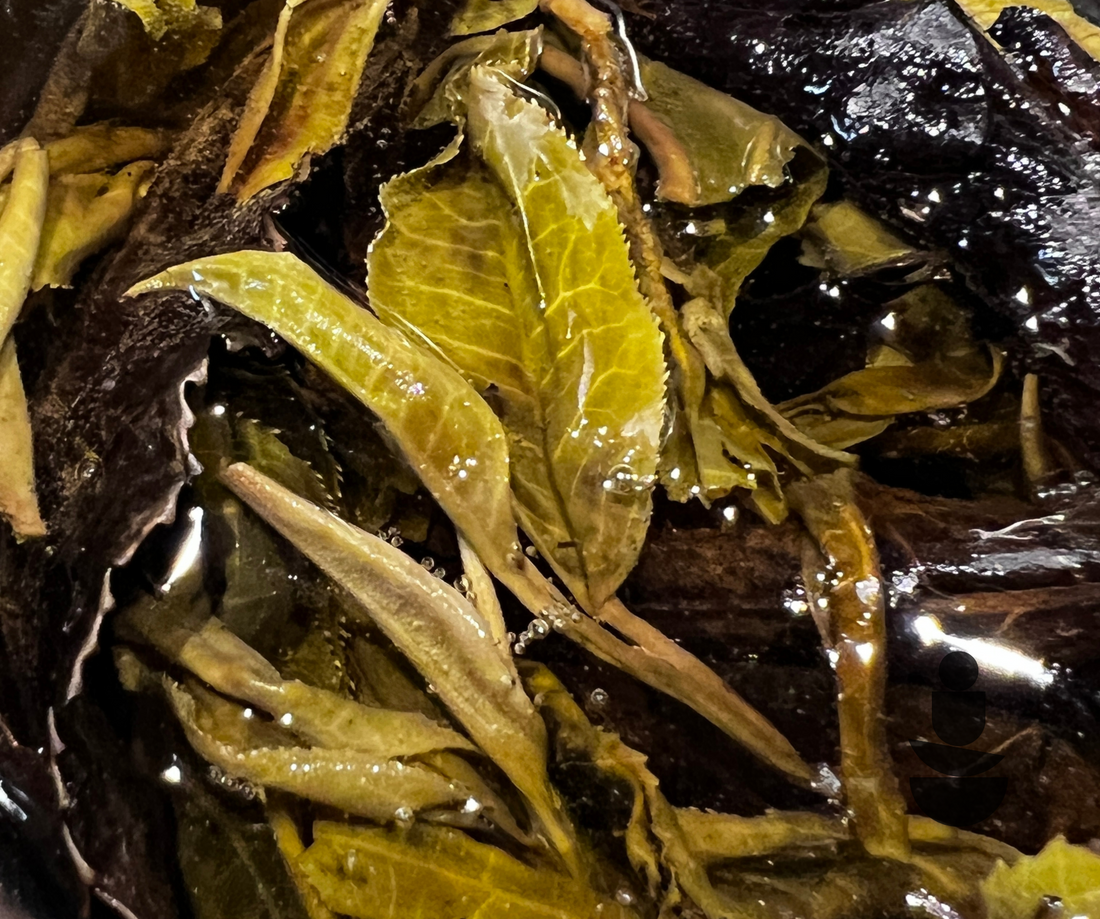 Tea brewing - TM by Amy