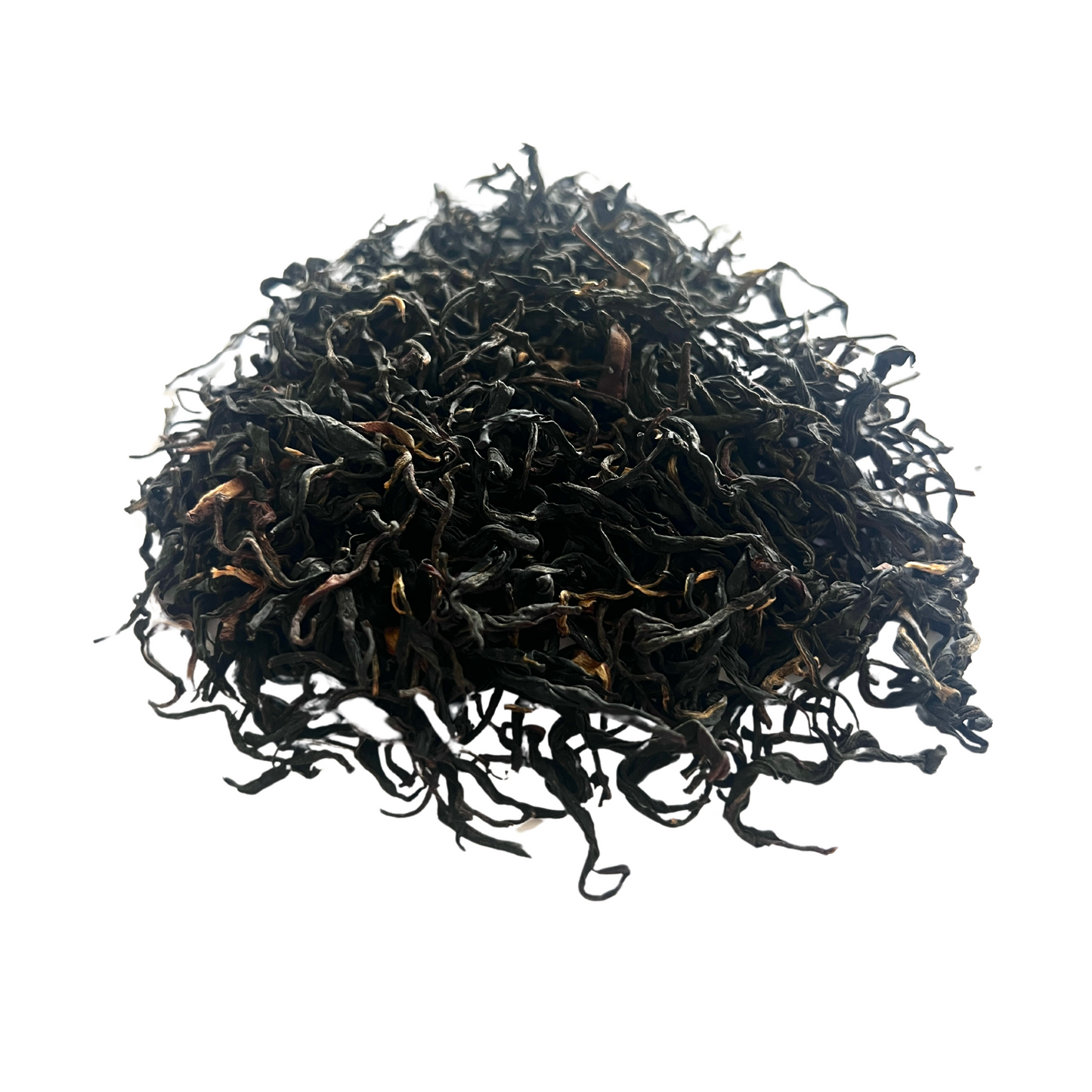 Secret Grove Wild Black