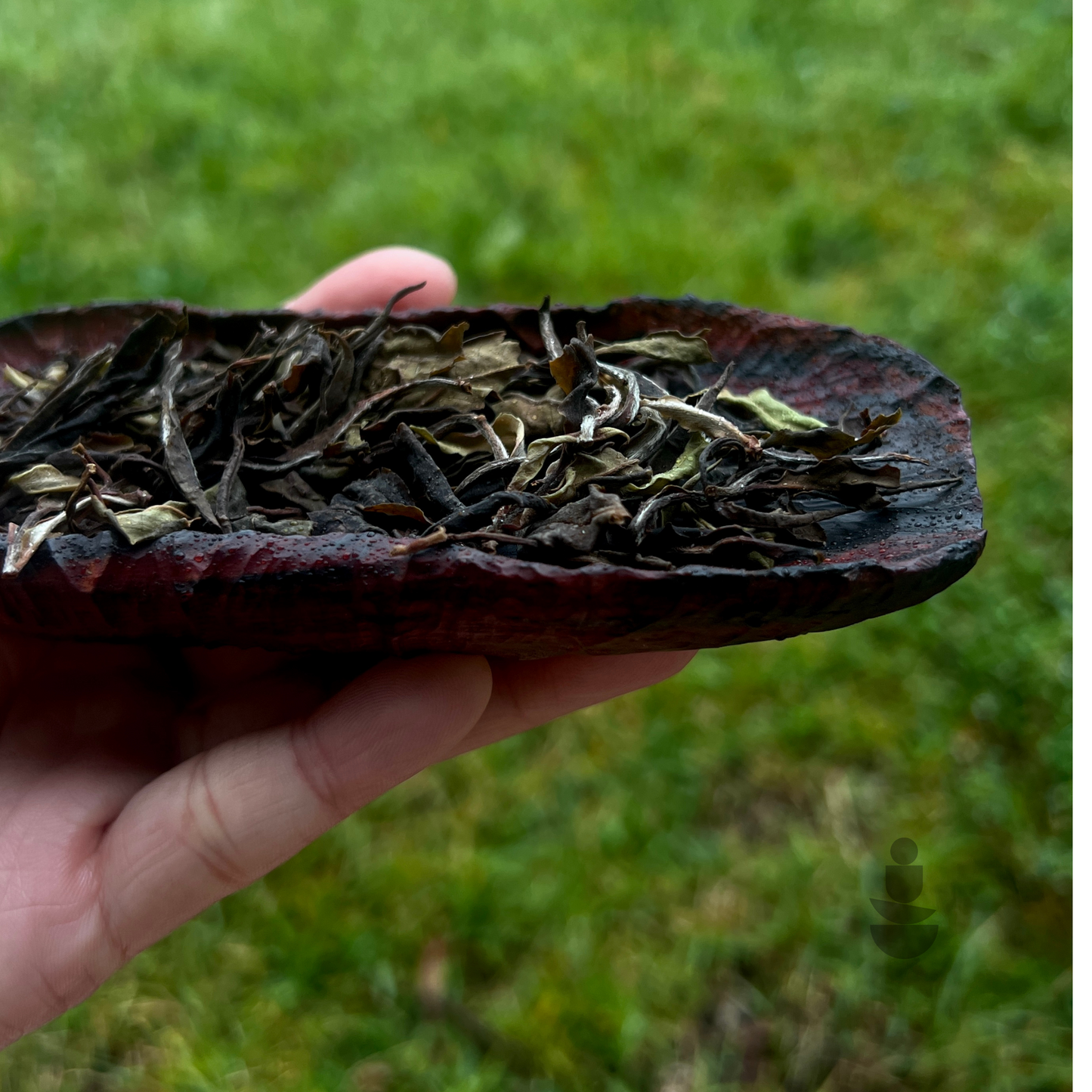 Alpine Serenity White