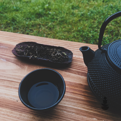 Alpine Serenity White