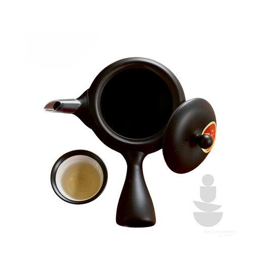 Tokoname Japanese Teapot Set